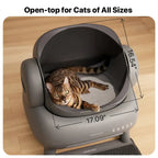 ⏰Limited Time: 50% OFF🐱 Smart Self-Cleaning Cat Litter Box | Open Design Odor Control Automatic Cat Toilet